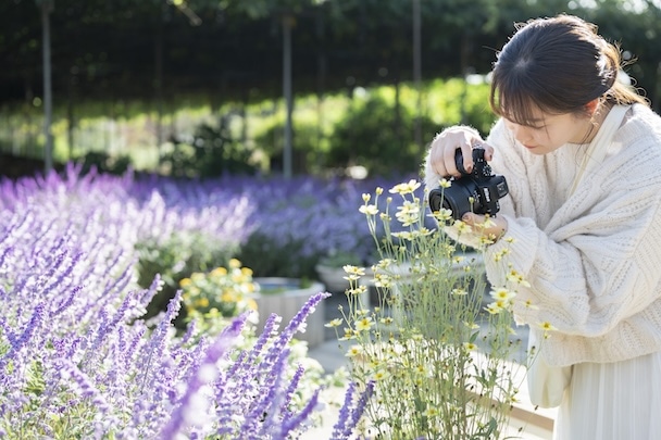 花畑のビハインドザシーンズ