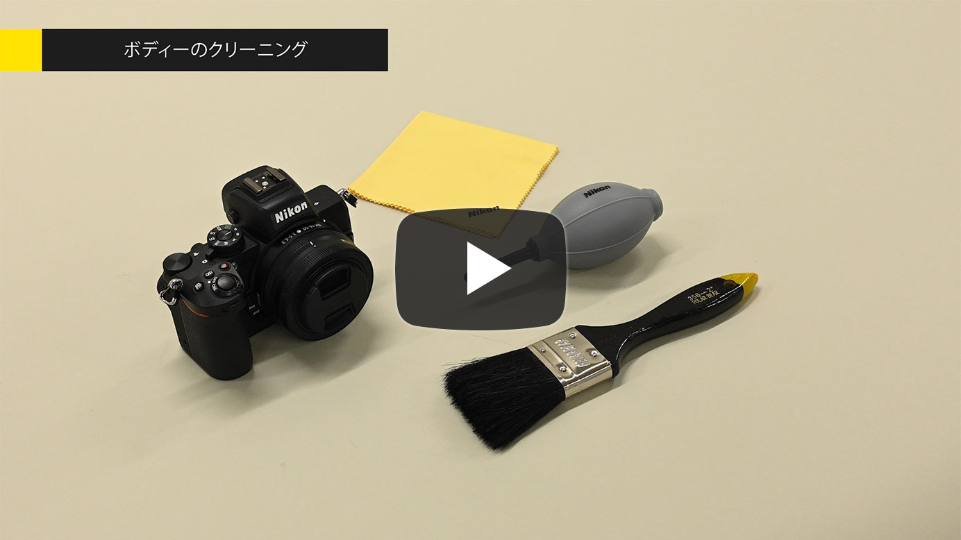 ニコン【良判定】点検クリーニング済 Nikon D5600 ボディ