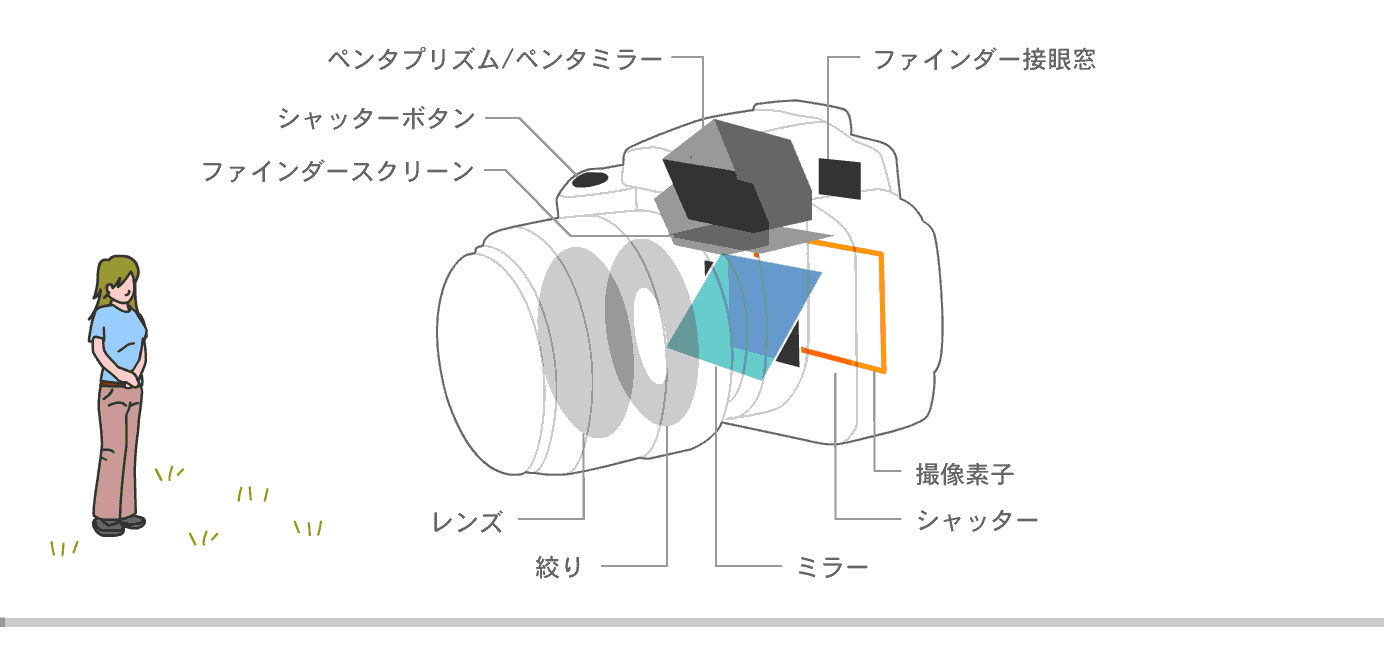 デジタル一眼レフカメラの構造デジタル一眼レフカメラの構造