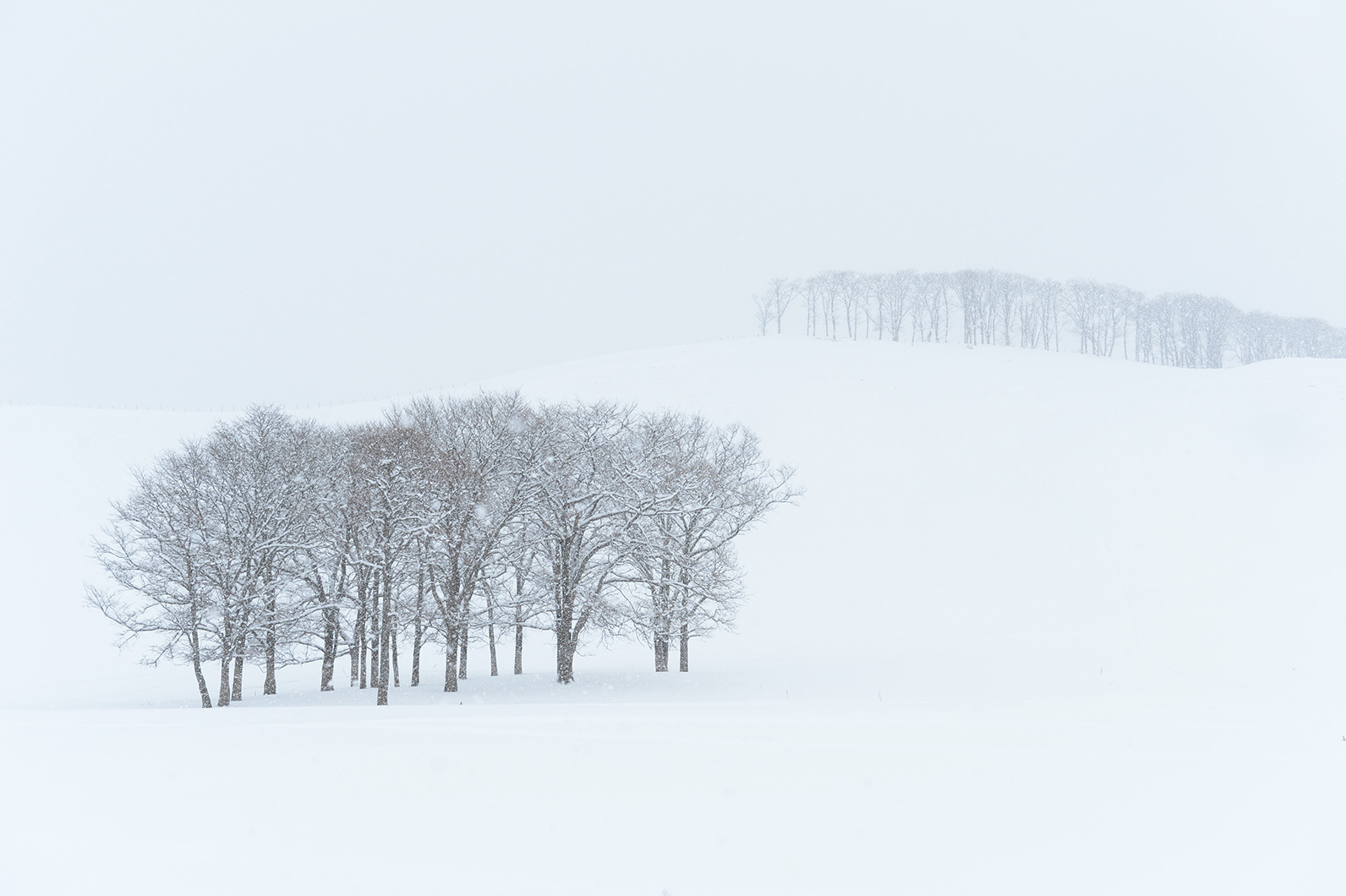 冬の寒さのなか、雪景色を撮る風景