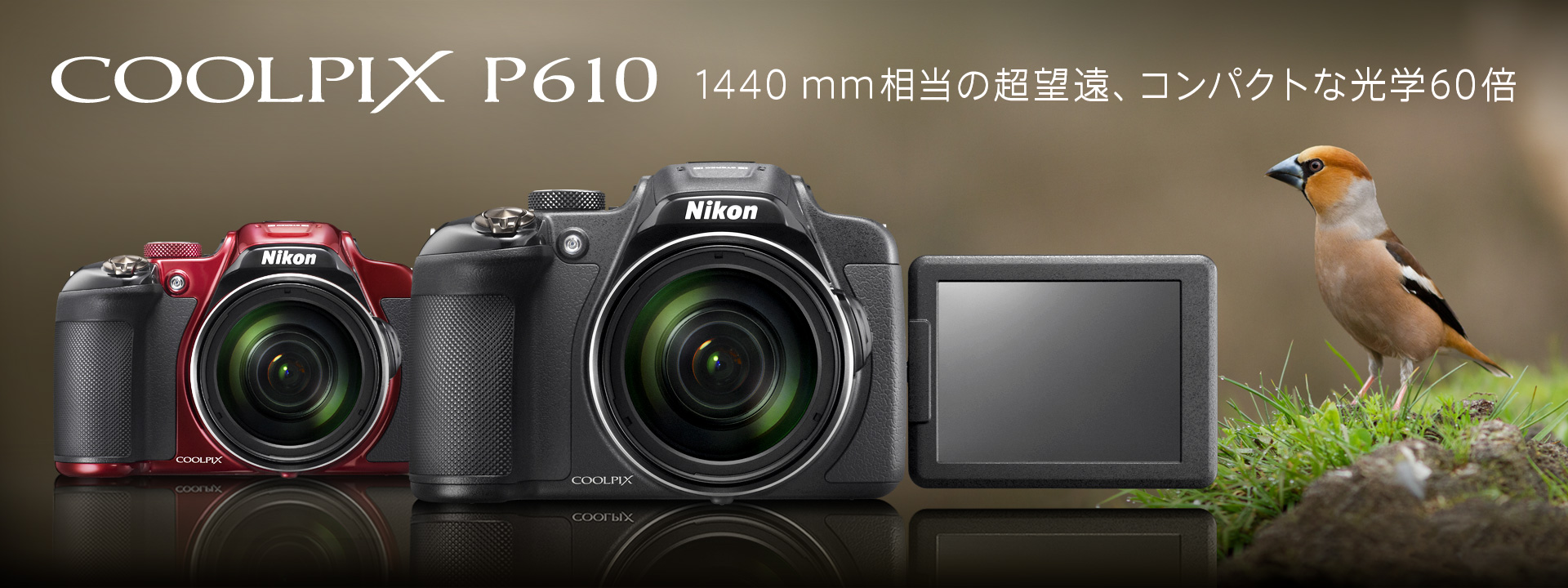 Nikon P610