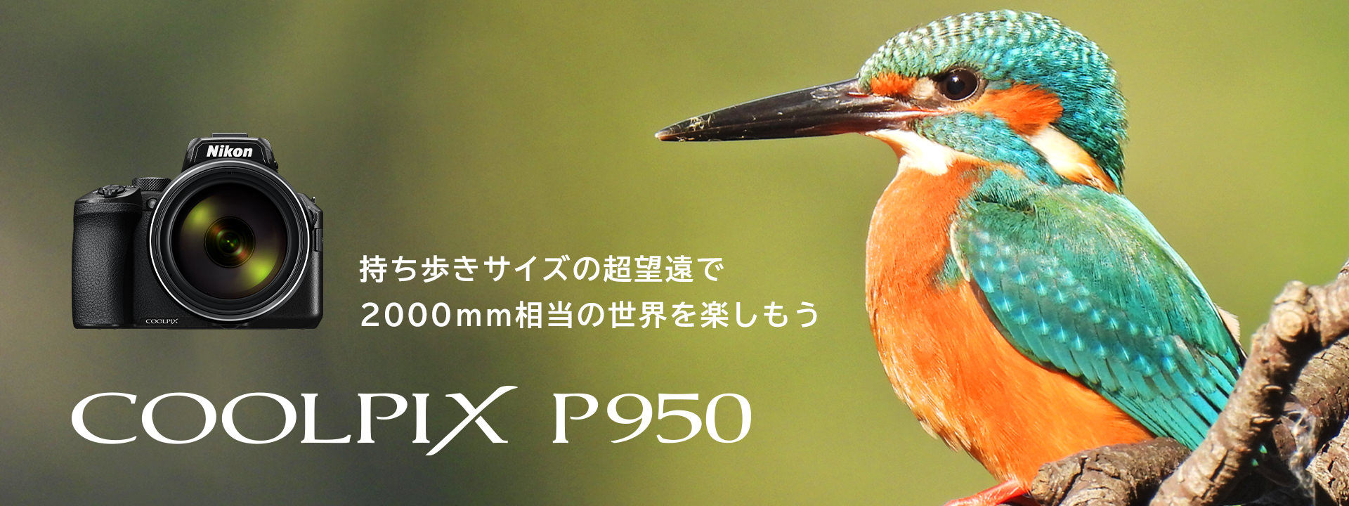 Nikon COOLPIX P950 2000mm望遠！7レンズフード