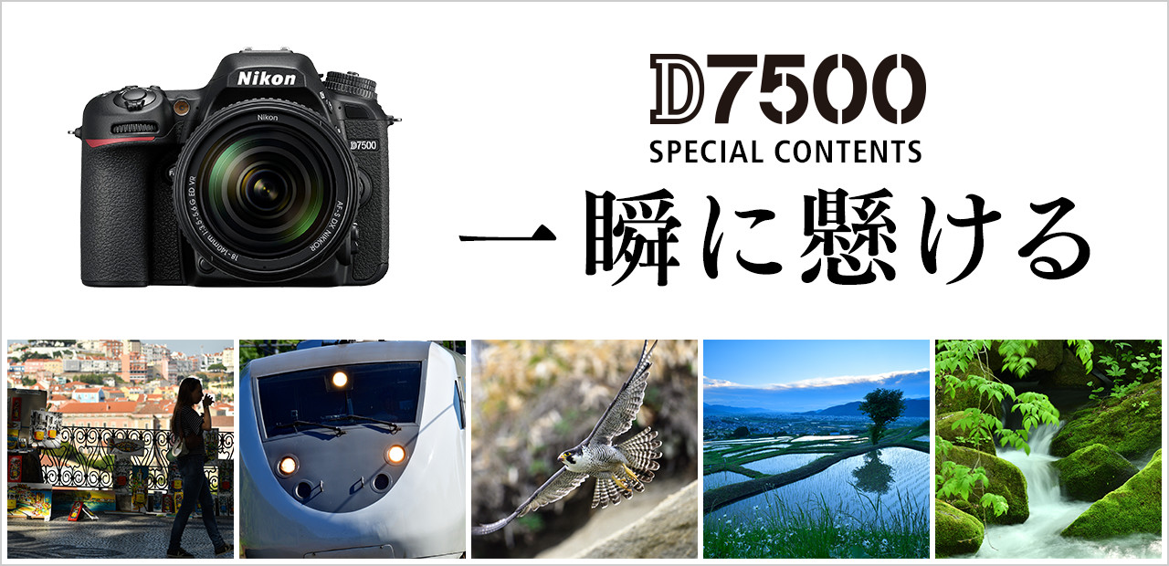 Nikon デジタル一眼レフカメラ-