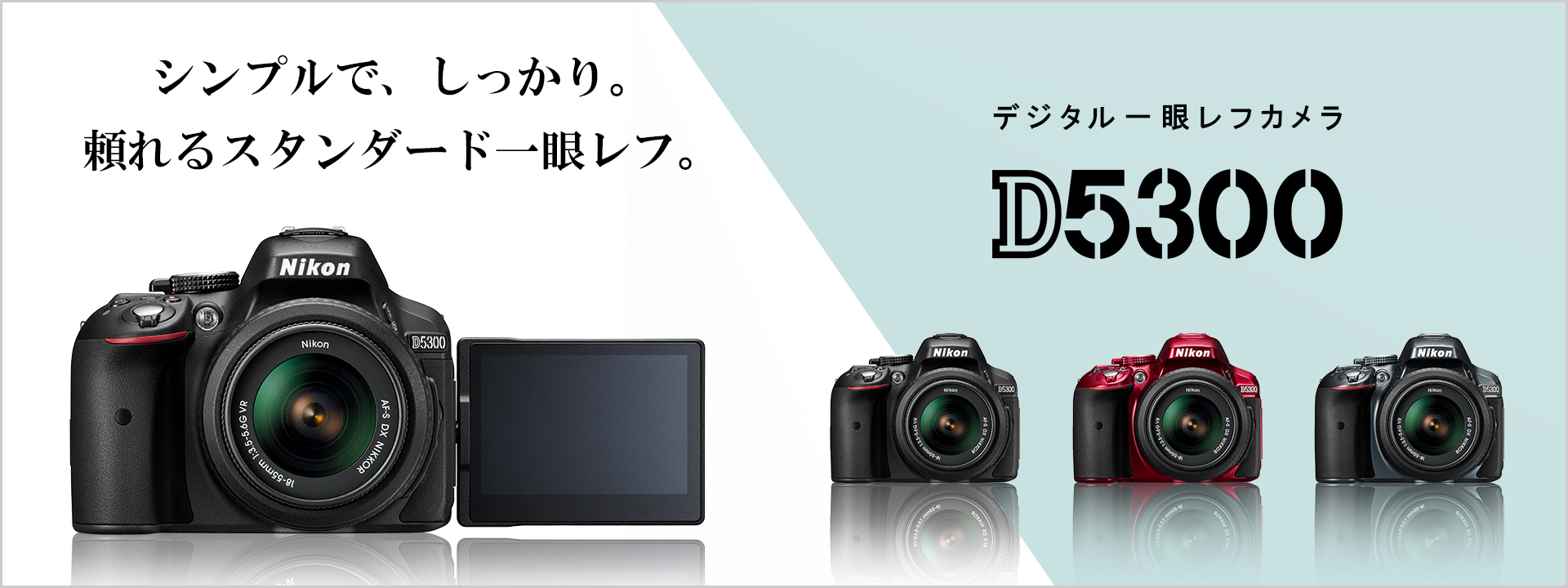 デジタル一眼Nikon D5300 一眼レフ