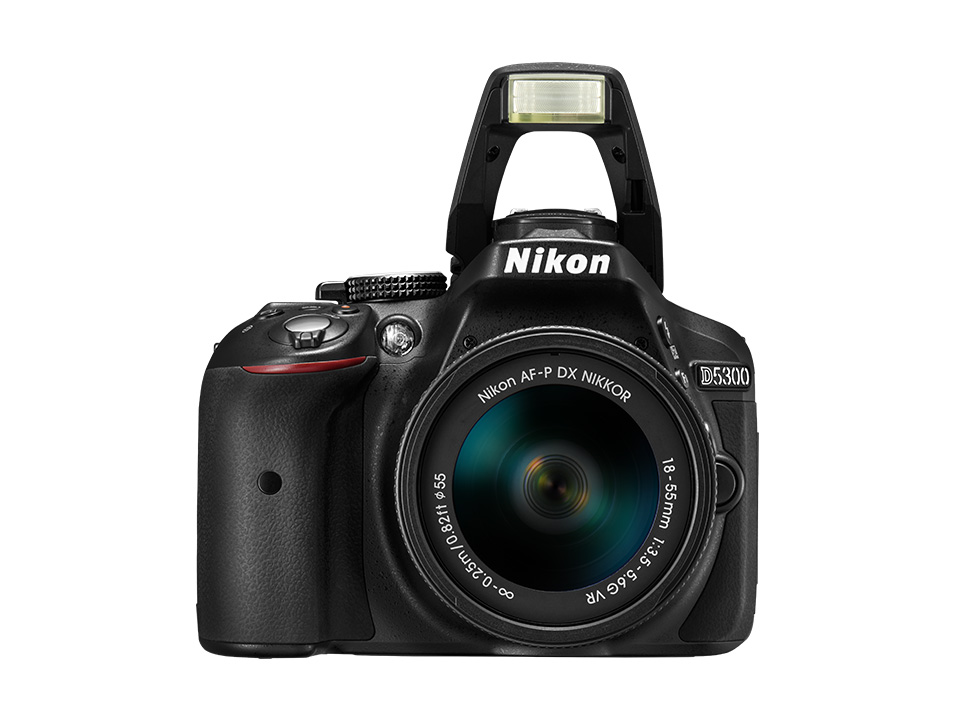 【付属品完備！】Nikon d5300