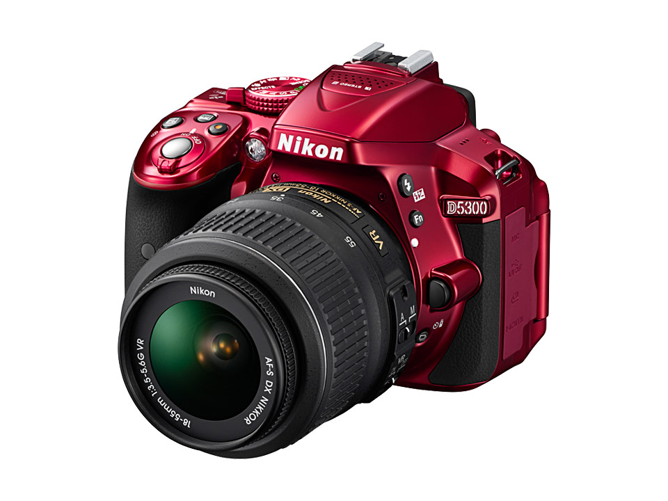 NikonカメラD53000