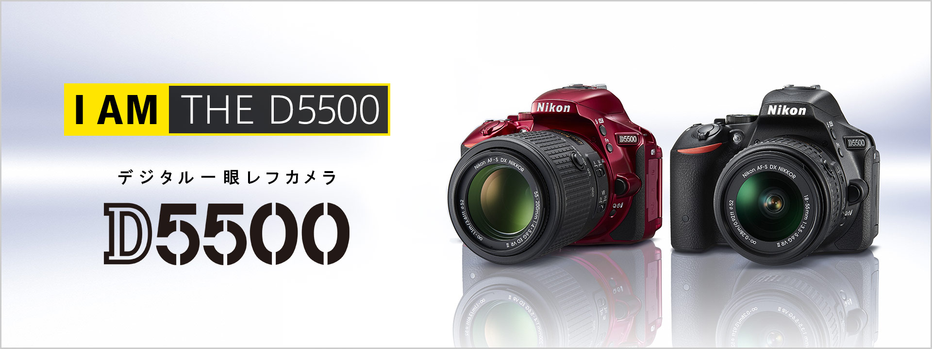 Nikon 一眼レフカメラ D5500一眼レフ