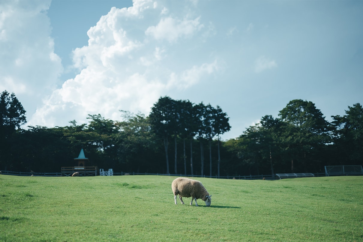 軍司拓実×NIKKOR Z 50mm f/1.4作品