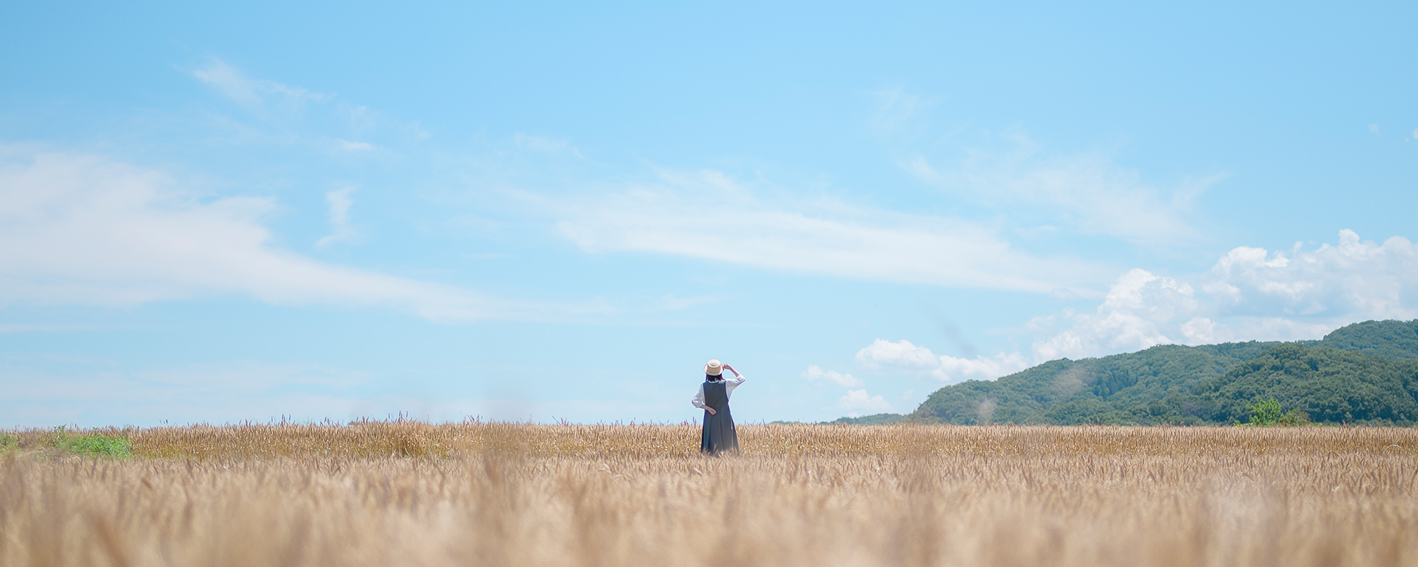 NIKKOR Z 35mm f/1.4メイン作例写真